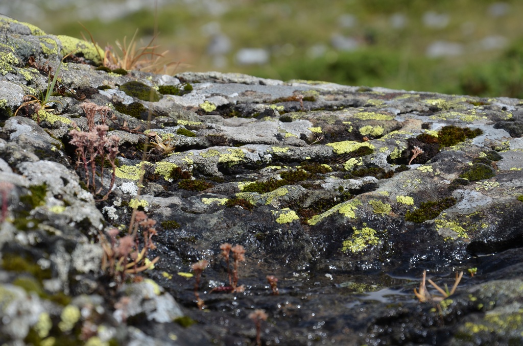 2015-07 Savoie/Refuge du saut/DSC_0259.JPG